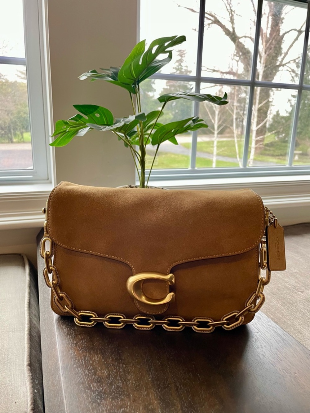 Coach Chain Tabby Sand Suede Shoulder Bag